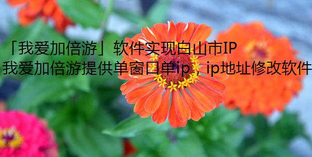 「我爱加倍游」软件实现白山市IP地址更换及代理IP配置全解析