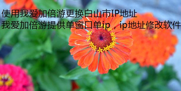 使用我爱加倍游更换白山市IP地址的完整指南多开不同ip