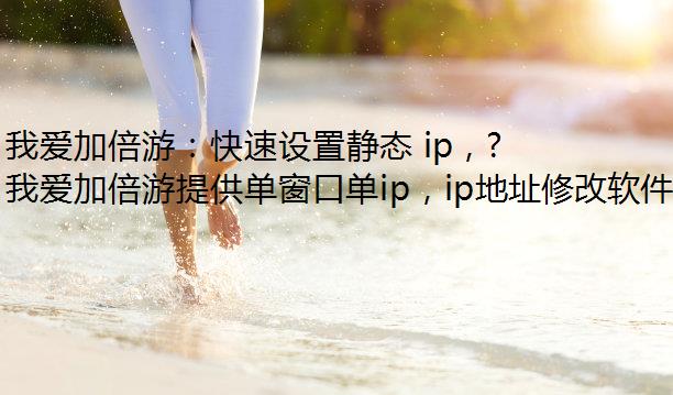 我爱加倍游：快速设置静态 ip，模拟器多开解锁高效网络新体验