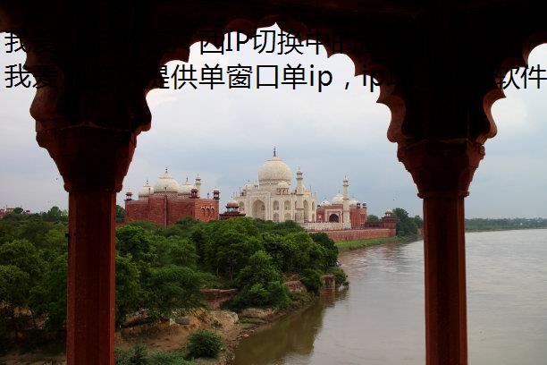 我爱加倍游在广西IP切换中的应用指南：动态与静态IP的灵活配置