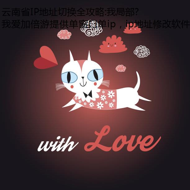 云南省IP地址切换全攻略:我局部代理爱加倍游代理的多场景应用与优化技巧