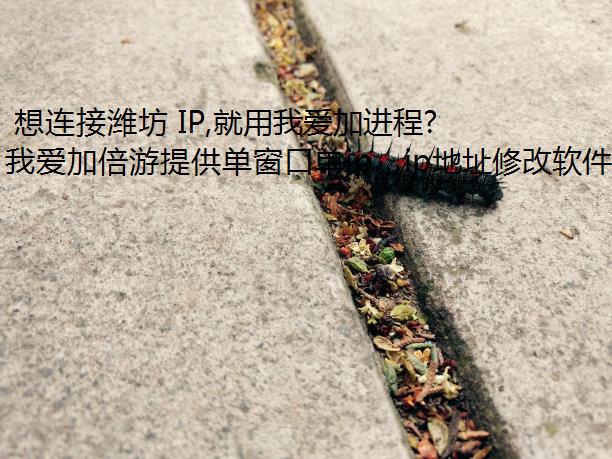  想连接潍坊 IP,就用我爱加进程包机倍游 IP 代理