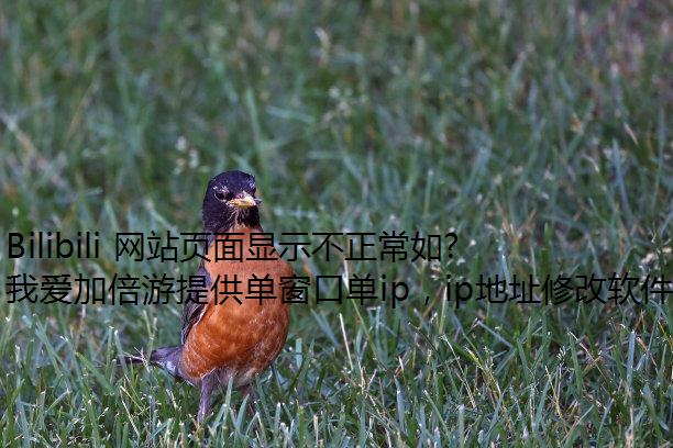 Bilibili 网站页面显示不正常如何解决？