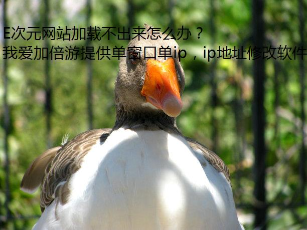 E次元网站加载不出来怎么办？