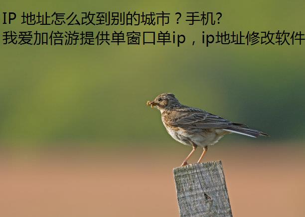 IP 地址怎么改到别的城市？手机电脑都能这么操作