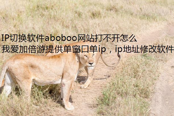 IP切换软件aboboo网站打不开怎么办?