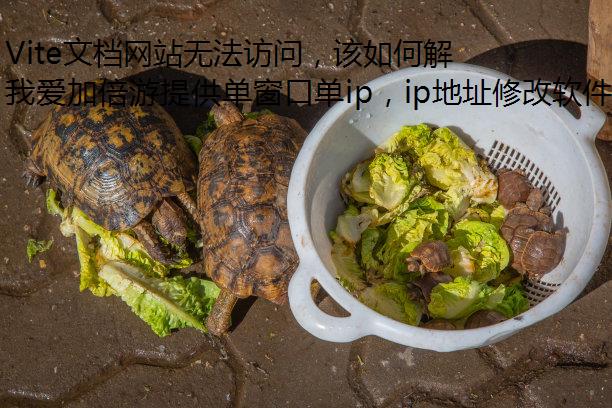Vite文档网站无法访问，该如何解决？