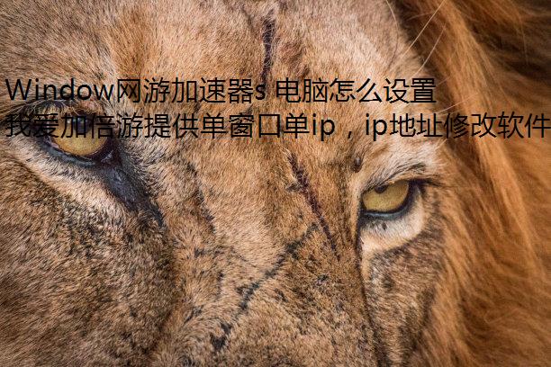 Window网游加速器s 电脑怎么设置静态 IP?