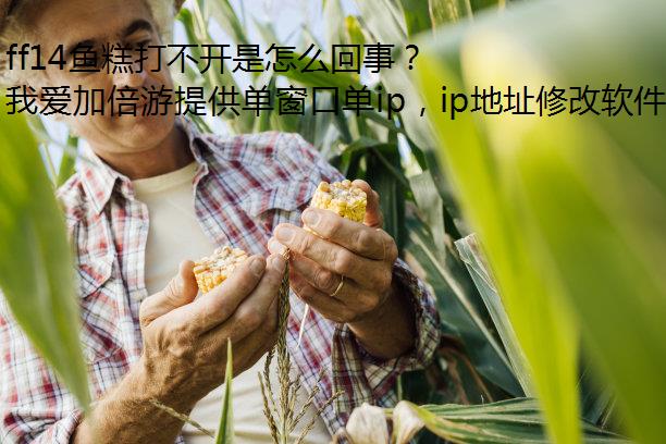 ff14鱼糕打不开是怎么回事？