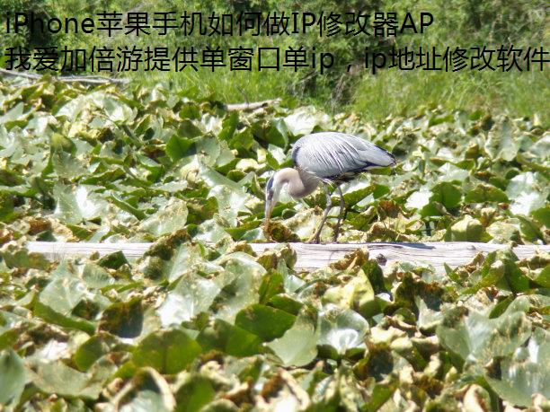 iPhone苹果手机如何做IP修改器APP试玩赚钱揭秘其原理机制