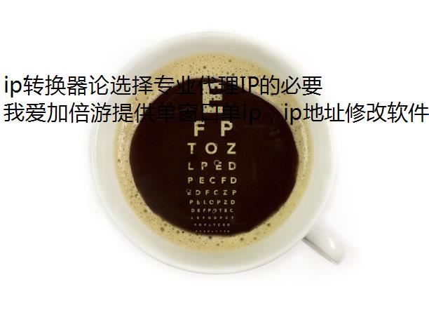 ip转换器论选择专业代理IP的必要性