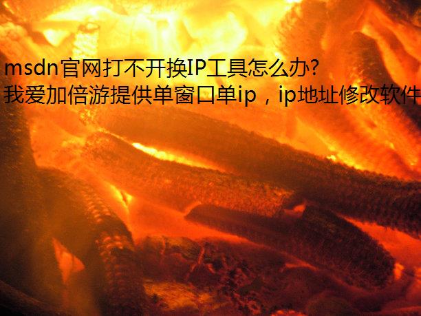 msdn官网打不开换IP工具怎么办?