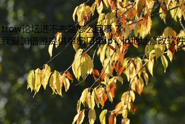 trow论坛进不去是怎么回事？