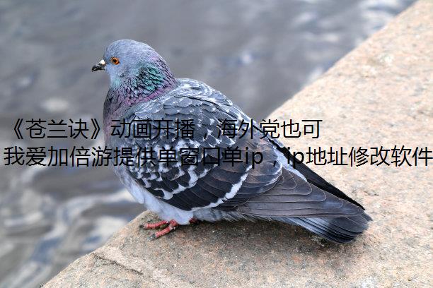 《苍兰诀》动画开播，海外党也可以流畅观看