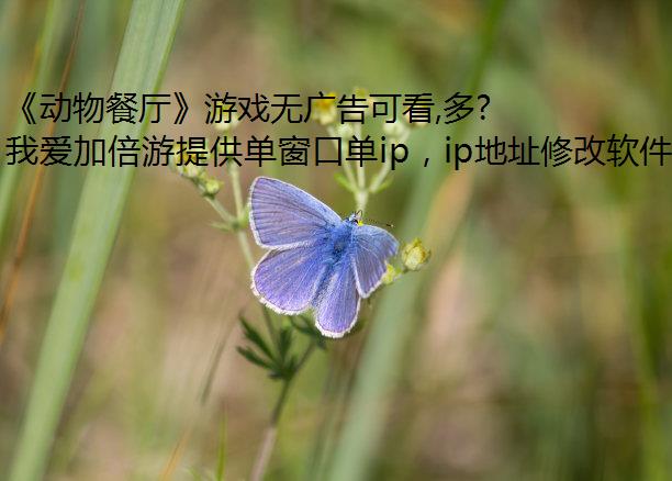《动物餐厅》游戏无广告可看,多开限制解除该怎么办?