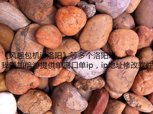 《风起包机ip洛阳》等多个洛阳IP作品登陆爱奇艺,海外党用我爱加倍游解锁观看!