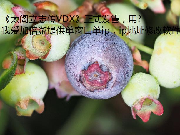 《太阁立志传VDX》正式发售，用我爱加倍游畅快访问Steam！
