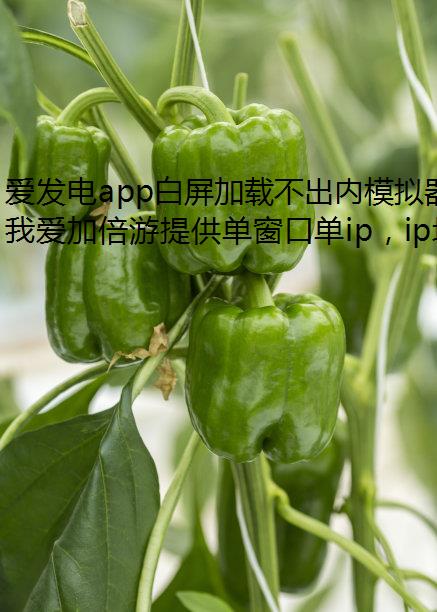 爱发电app白屏加载不出内模拟器多开容是怎么回事?