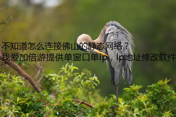 不知道怎么连接佛山的静态网络？我爱加倍游来帮你