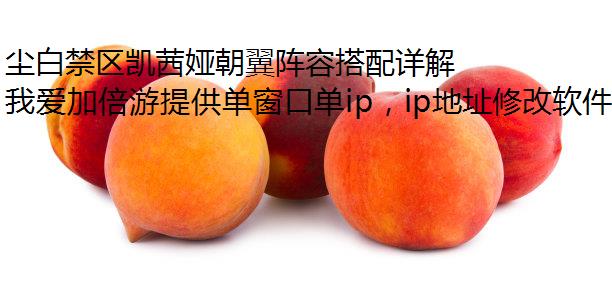 尘白禁区凯茜娅朝翼阵容搭配详解电脑换ip软件