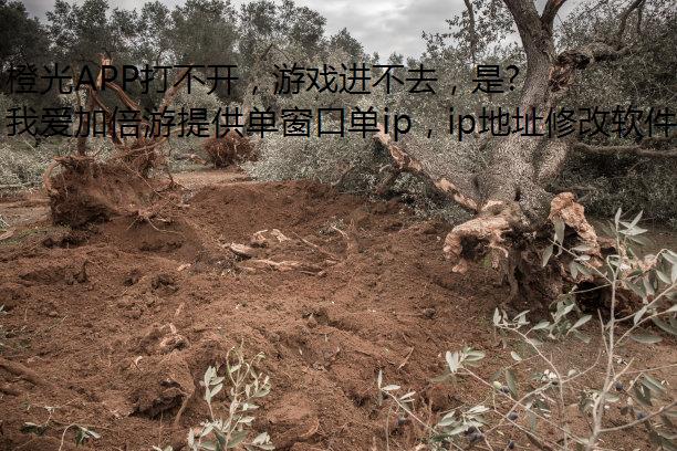 橙光APP打不开，游戏进不去，是怎么回事？