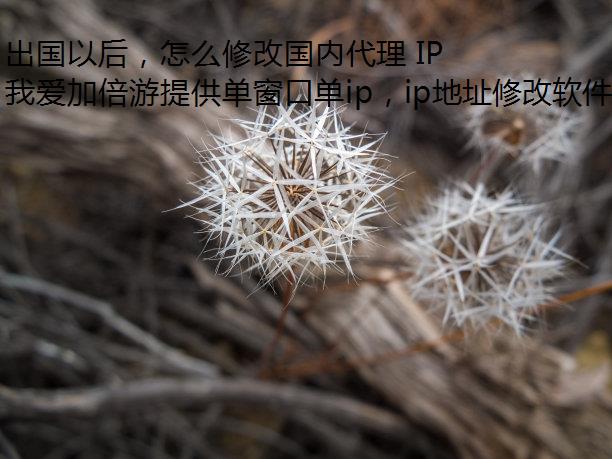 出国以后，怎么修改国内代理 IP 地址？