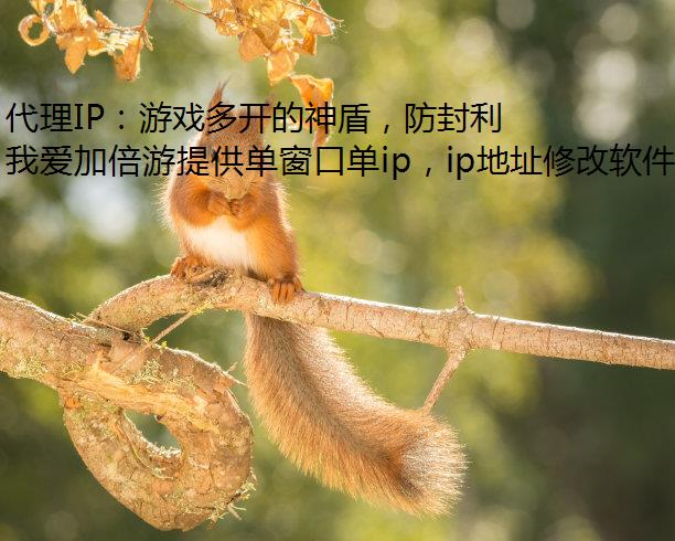 代理IP：游戏多开的神盾，防封利器！