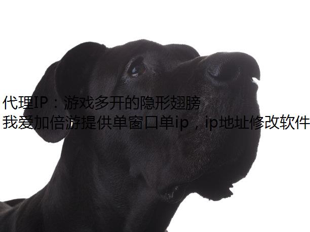 代理IP：游戏多开的隐形翅膀