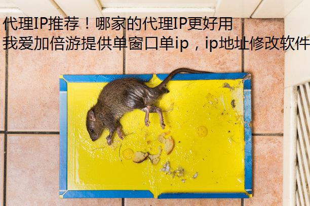 代理IP推荐！哪家的代理IP更好用？
