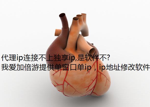 代理ip连接不上独享ip,是软件不好吗?