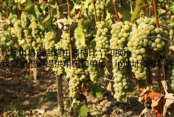 代理ip与重启路由器相比，切换ip时有哪些优势？