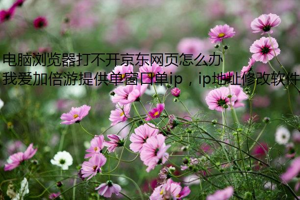 电脑浏览器打不开京东网页怎么办？
