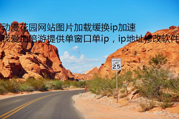 动漫花园网站图片加载缓换ip加速器慢怎么办?