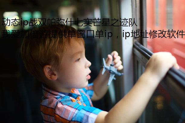 动态ip战双帕弥什七实芒星之迹队伍搭配推荐