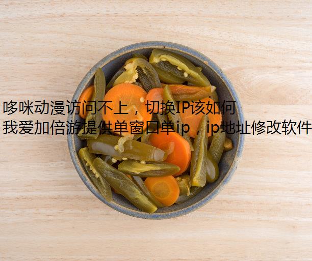 哆咪动漫访问不上，切换IP该如何解决？