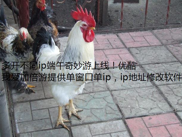 多开不同ip端午奇妙游上线！优酷首播！