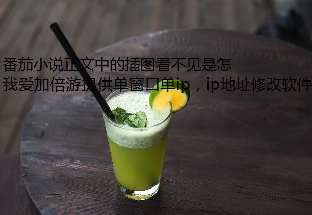 番茄小说正文中的插图看不见是怎么回事？