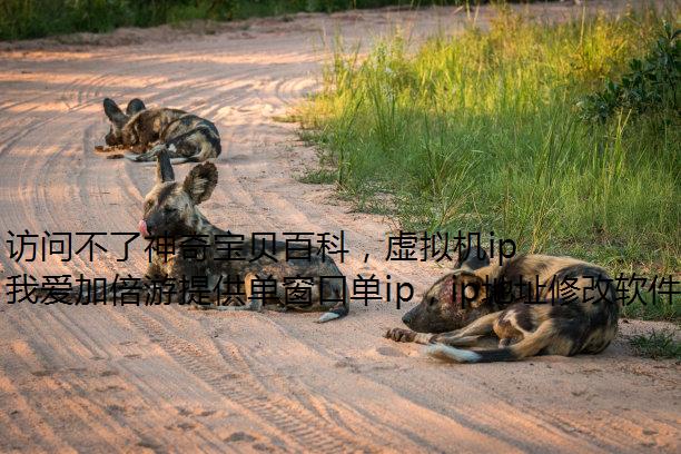 访问不了神奇宝贝百科，虚拟机ip可能是哪些原因造成的？