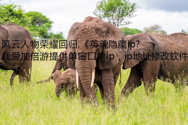 风云人物荣耀回归,《英魂隐藏ip之刃》10周年庆典回忆杀来袭!