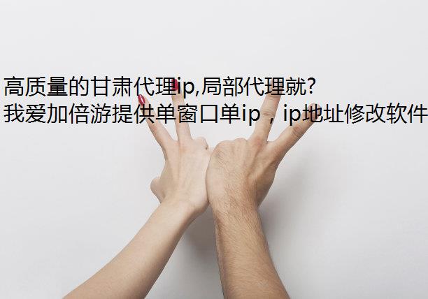 高质量的甘肃代理ip,局部代理就在我爱加倍游静态代理ip!