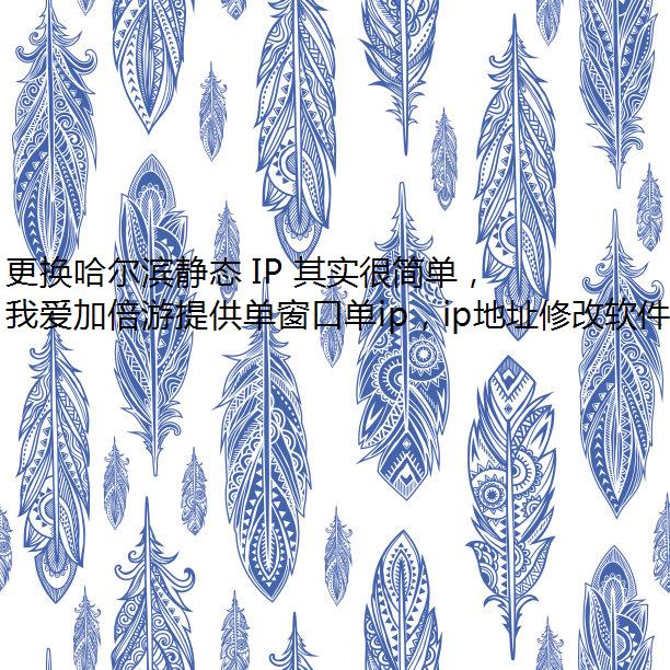 更换哈尔滨静态 IP 其实很简单，只要有我爱加倍游