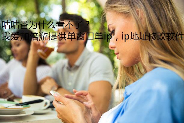 咕咕番为什么看不了？