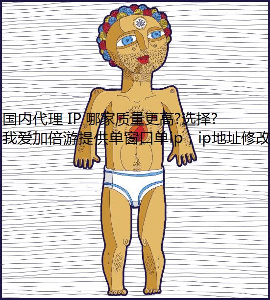 国内代理 IP 哪家质量更高?选择我爱加倍游局部代理不会后悔