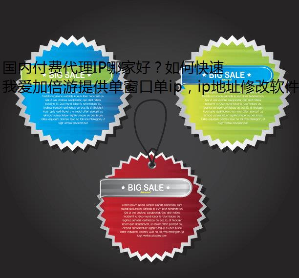 国内付费代理IP哪家好？如何快速选到好用的代理IP？