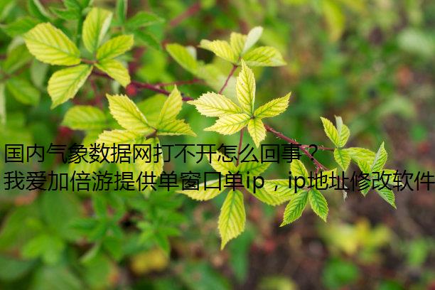 国内气象数据网打不开怎么回事？