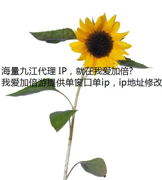 海量九江代理 IP，就在我爱加倍游