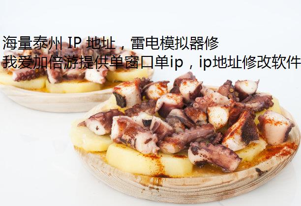 海量泰州 IP 地址，雷电模拟器修改IP就在我爱加倍游网络代理