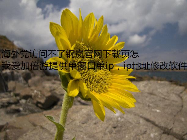 海外党访问不了钢岚官网下载页怎么办？