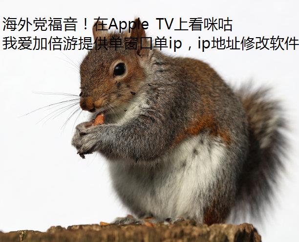 海外党福音！在Apple TV上看咪咕视频也能搭配我爱加倍游！