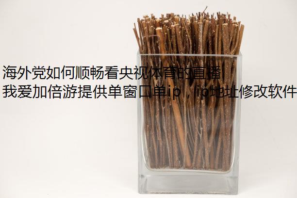 海外党如何顺畅看央视体育的直播与回放换ip加速器?